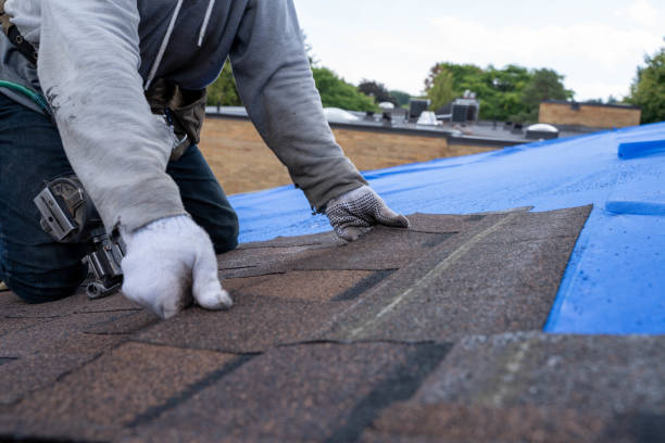 Best Roof Repair Services  in Paddock Lake, WI