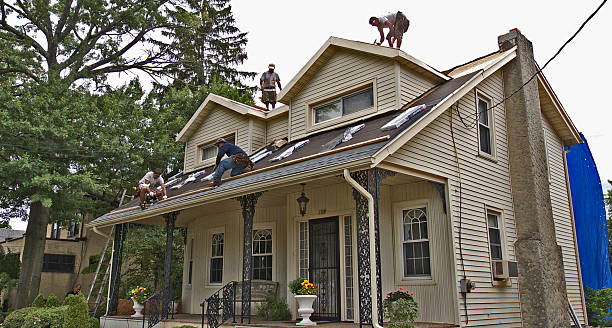 Best Roof Gutter Cleaning  in Paddock Lake, WI