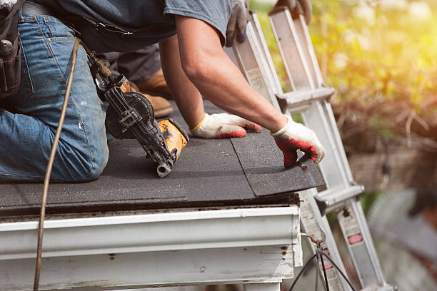 Best Metal Roofing Contractor  in Paddock Lake, WI